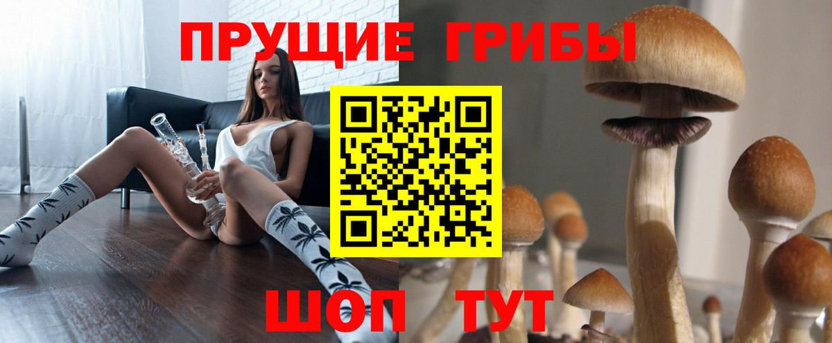 Галлюциногенные грибы Magic Shrooms  хочу наркоту  Красноуфимск  Вход с VPN 